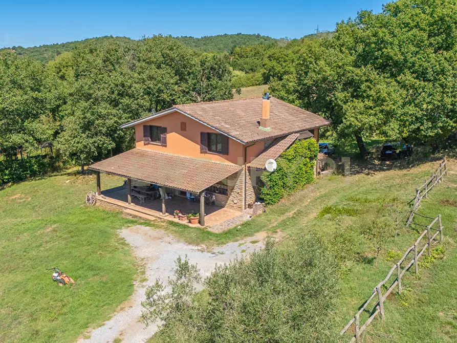 Immagine 3 di Rustico / casale in vendita  in località san quirichello a Barbarano Romano