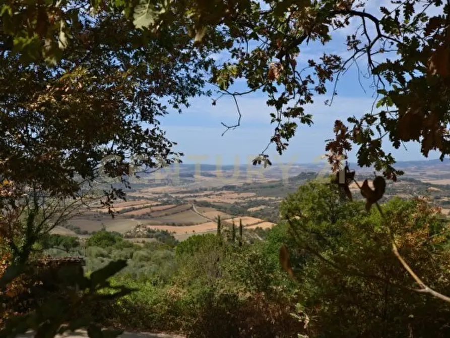 Immagine 18 di Villa in vendita  in Località Poggio Murella 68 a Manciano