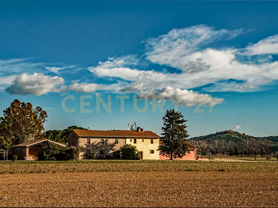 Immagine 6 di Rustico / casale in vendita  in località podere dogana a Roccastrada