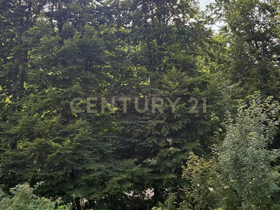 Immagine 9 di Casa indipendente in vendita  in Via morbano a Cappadocia