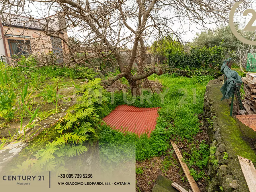 Immagine 8 di Rustico / casale in vendita  in Via Alessandro Manzoni 152 a Viagrande