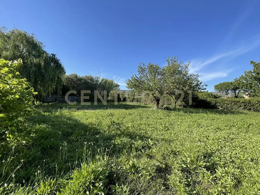 Immagine 7 di Terreno agricolo in vendita  in Via di Cameretta a Orbetello
