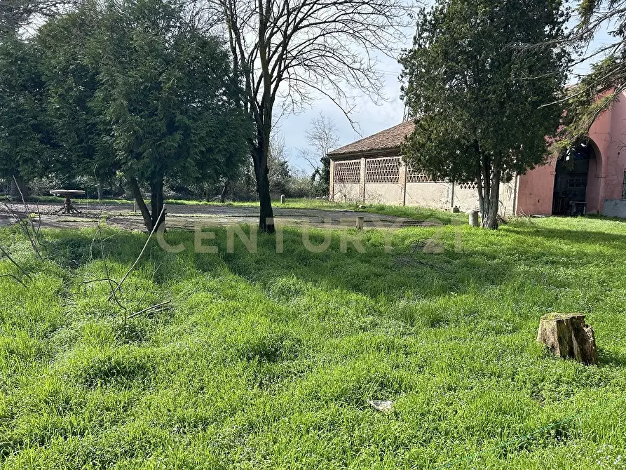 Immagine 4 di Rustico / casale in vendita  in Argine San Lorenzo 11 a Ostiglia