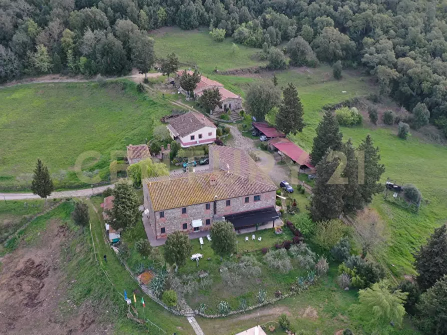 Immagine 52 di Rustico / casale in vendita  in agriturismo lampugnano 47 a Civitella Paganico