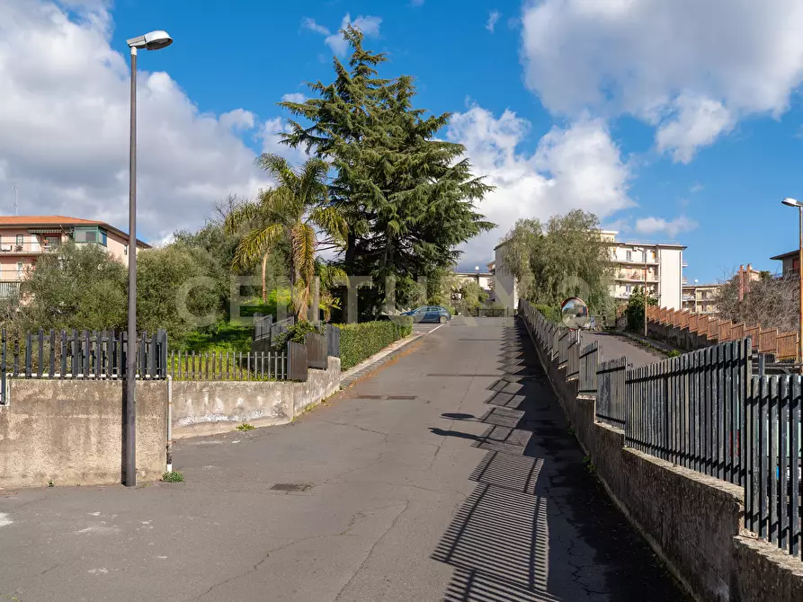 Immagine 7 di Trilocale in vendita  in Via Tremestieri 16 a Mascalucia