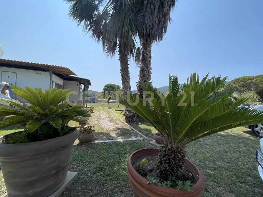 Immagine 20 di Terreno agricolo in vendita  in Strada Provinciale della Giannella a Orbetello