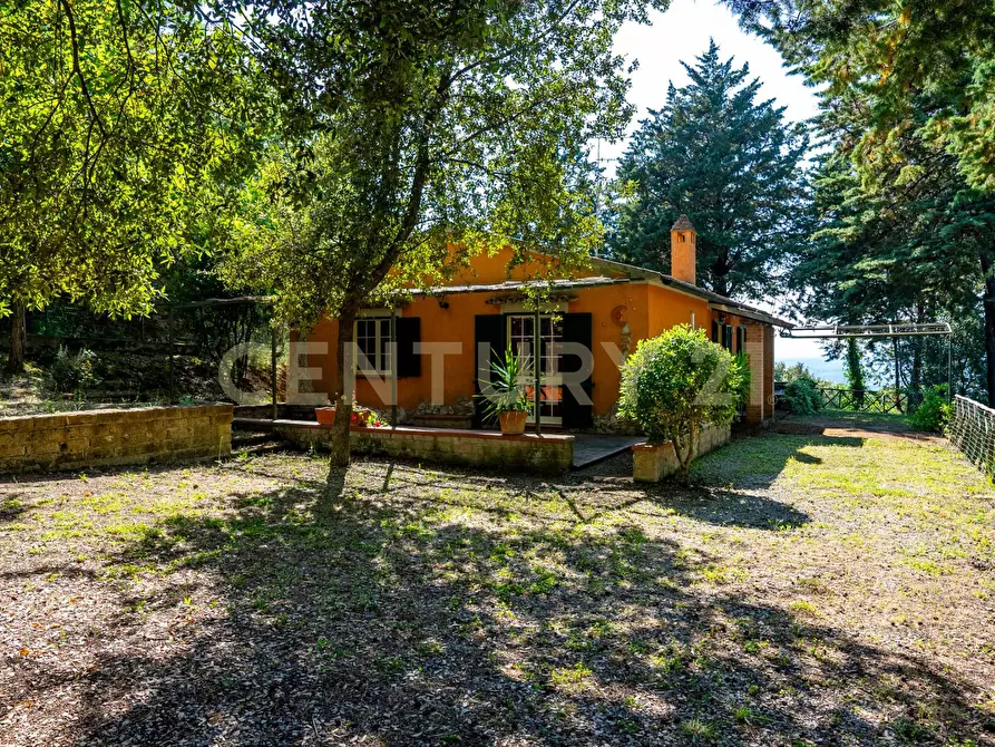 Immagine 29 di Rustico / casale in vendita  a Cinigiano