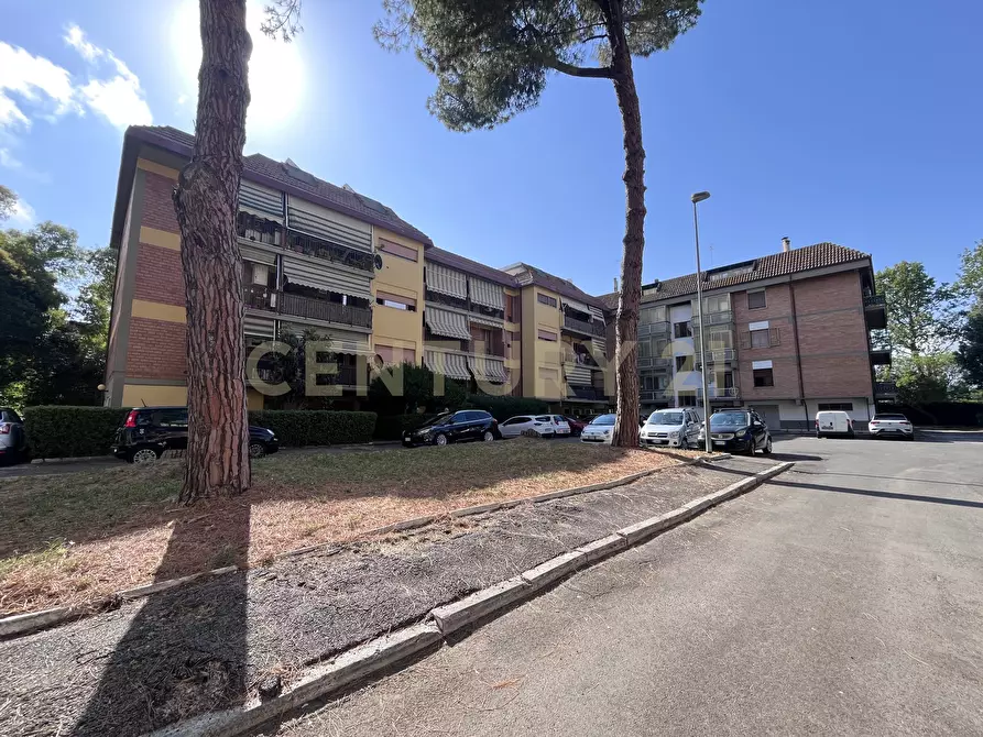 Immagine 27 di Trilocale in vendita  in Via Giuseppe Toniolo 13 a Grosseto