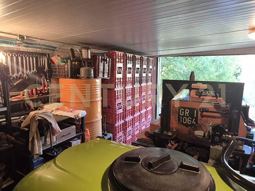 Immagine 40 di Azienda agricola in vendita  in località poggio al capraio snc a Roccastrada