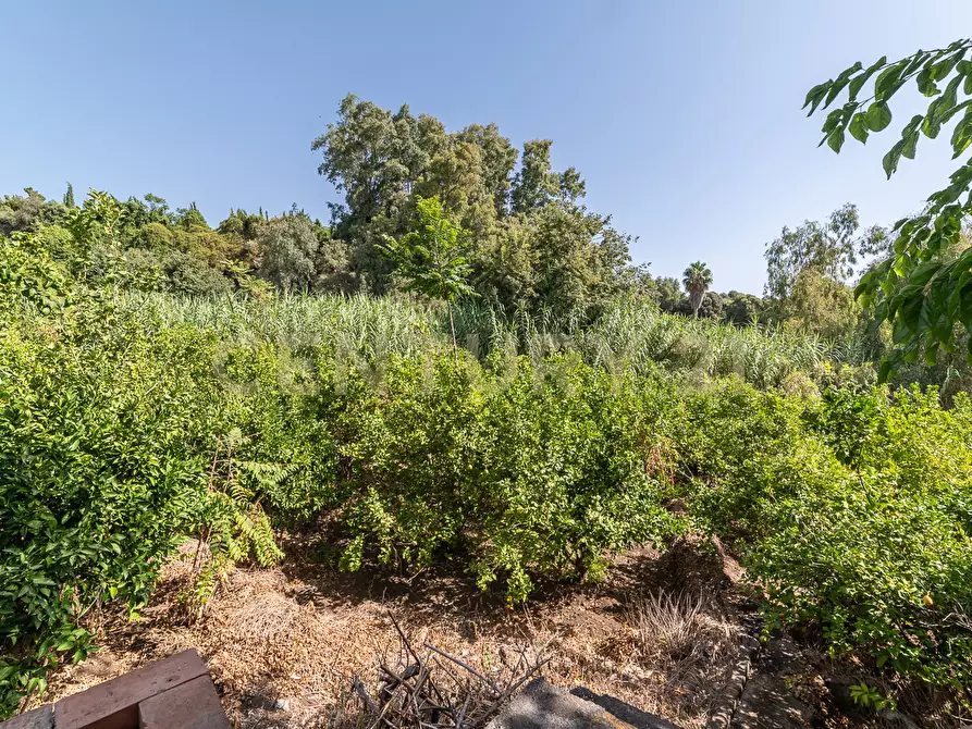 Immagine 31 di Villa in vendita  in Strada 9 Praiola 14 a Riposto