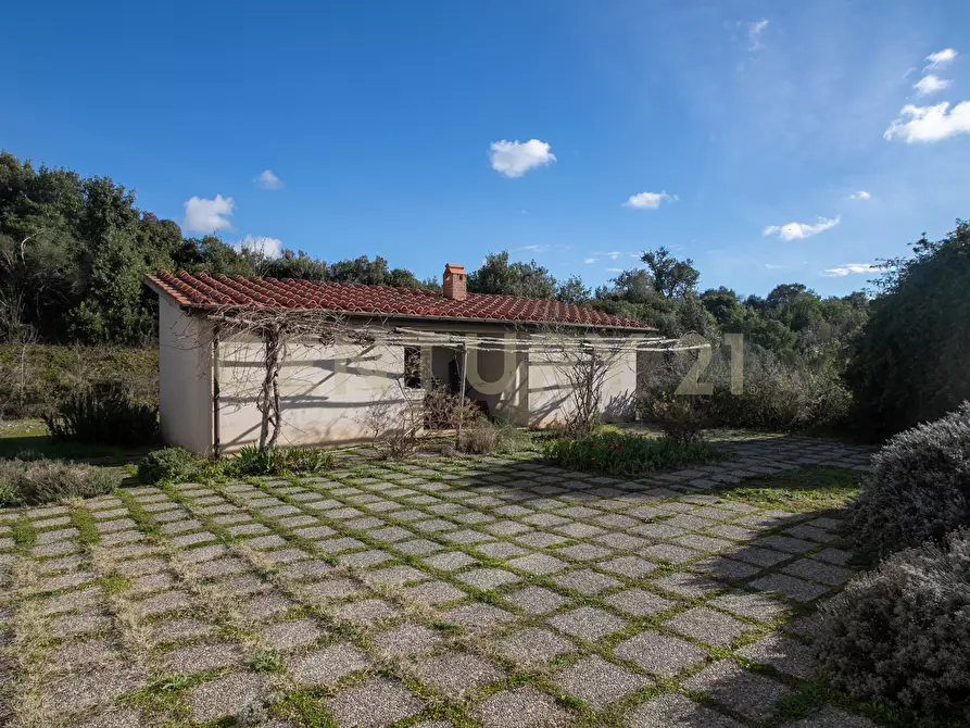 Immagine 24 di Villa in vendita  in Località Valle Maggiore 1 a Magliano In Toscana