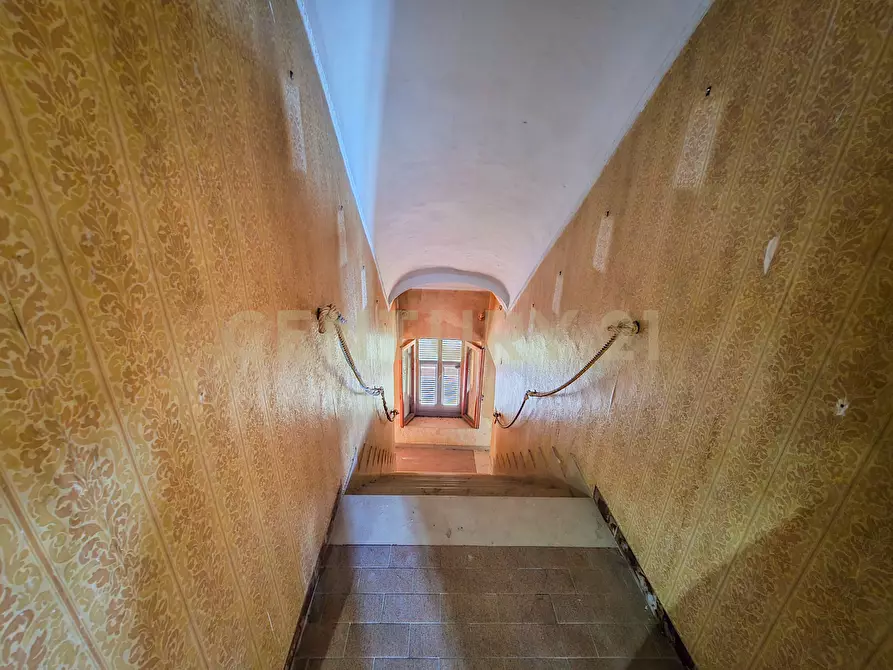 Immagine 8 di Rustico / casale in vendita  in la serra 57 a Arcidosso