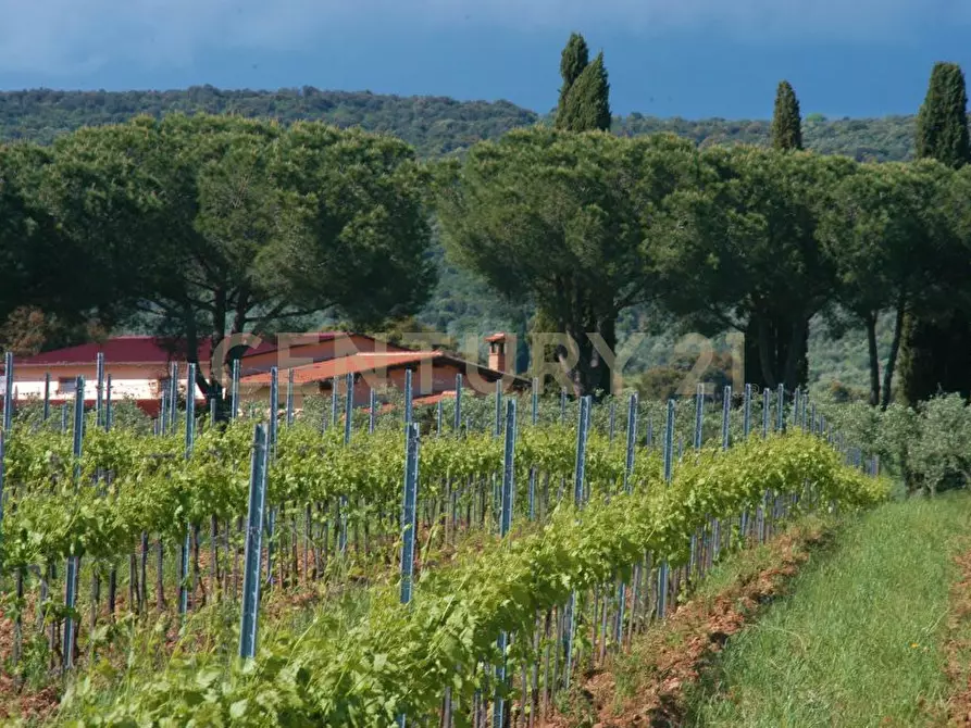 Immagine 25 di Rustico / casale in vendita  a Grosseto