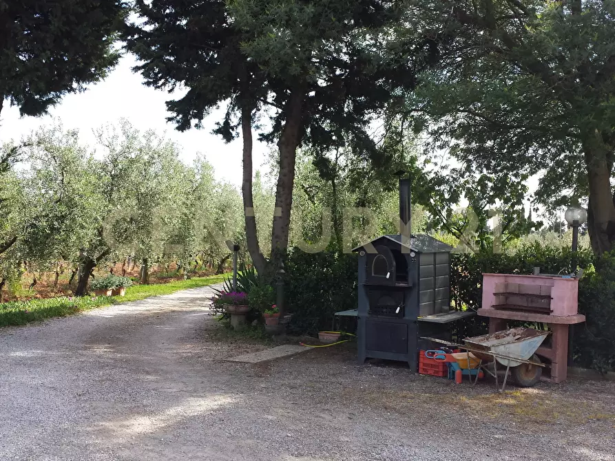 Immagine 6 di Rustico / casale in vendita  in Strada Pedemontana snc a Capalbio