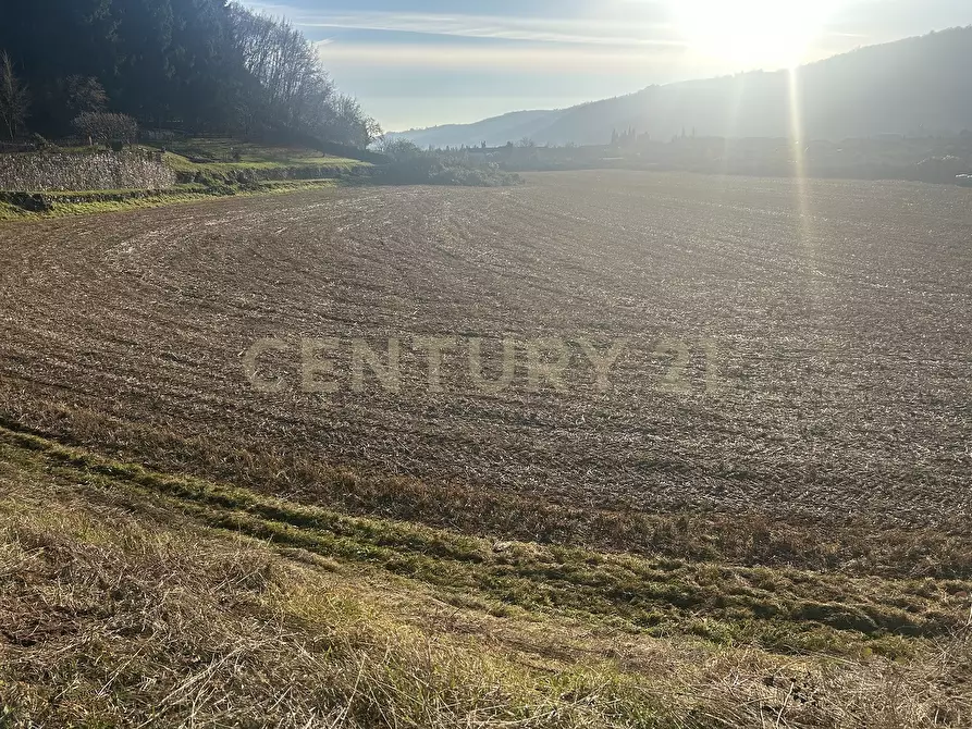 Immagine 15 di Terreno edificabile in vendita  in Via Don Giovanni Calabria 2 a Tregnago