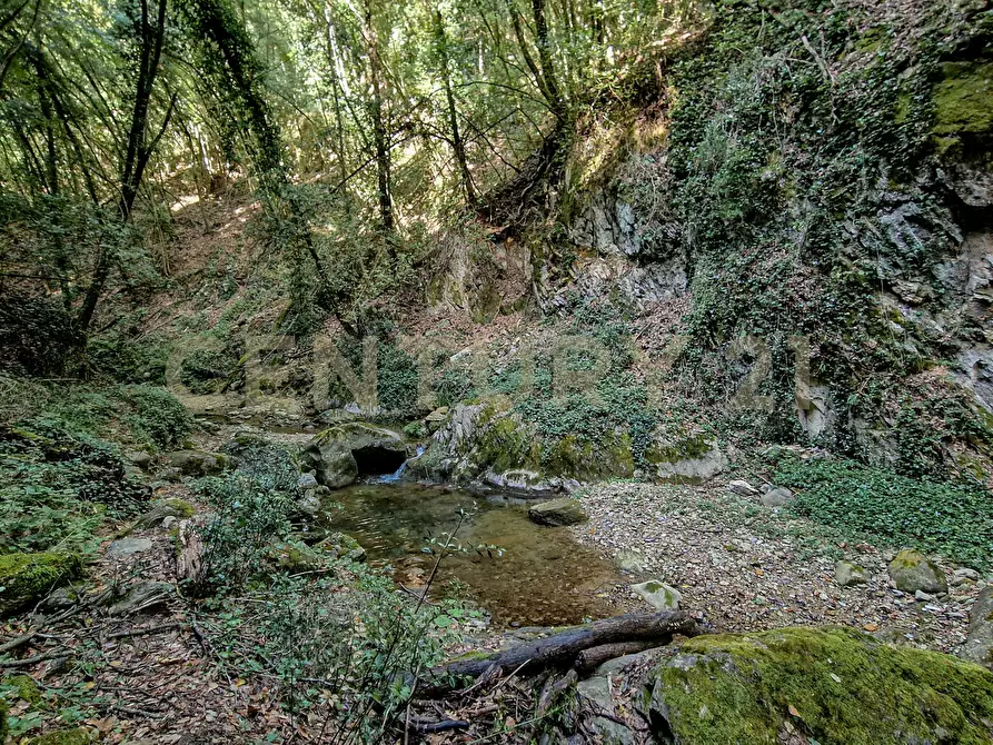 Immagine 40 di Casa indipendente in vendita  in Via della Mengona 32 a Roccastrada