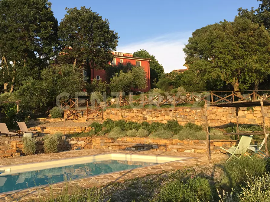 Immagine 34 di Rustico / casale in vendita  in località podere bizzarri a Scarlino