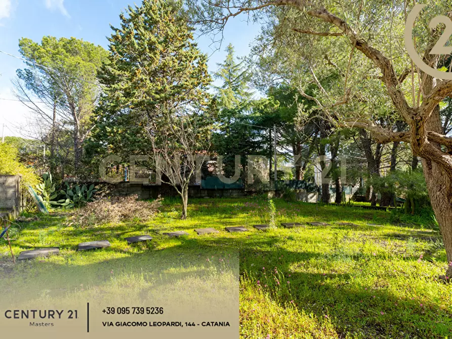 Immagine 39 di Villa in vendita  in Via Francesco Durante 11 a Pedara