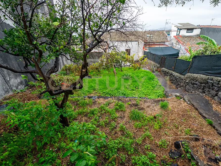 Immagine 28 di Villa in vendita  in Via Tripoli 229 a Catania