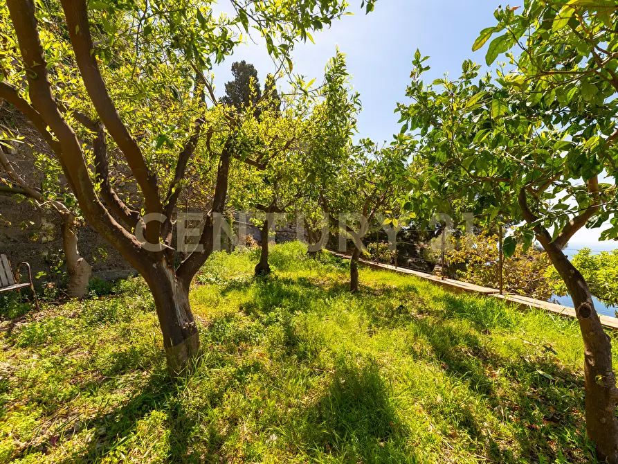 Immagine 54 di Villa in vendita  in Via Leonardo Da Vinci 5 a Taormina