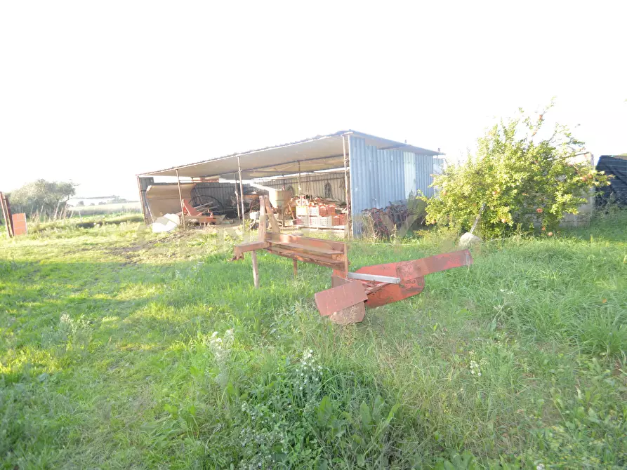 Immagine 34 di Terreno agricolo in vendita  in Strada del Querciolo 125 a Grosseto
