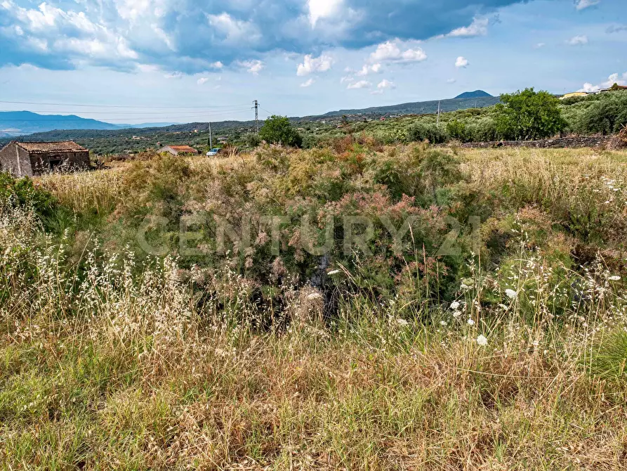 Immagine 44 di Terreno agricolo in vendita  in Via San Leo a Adrano