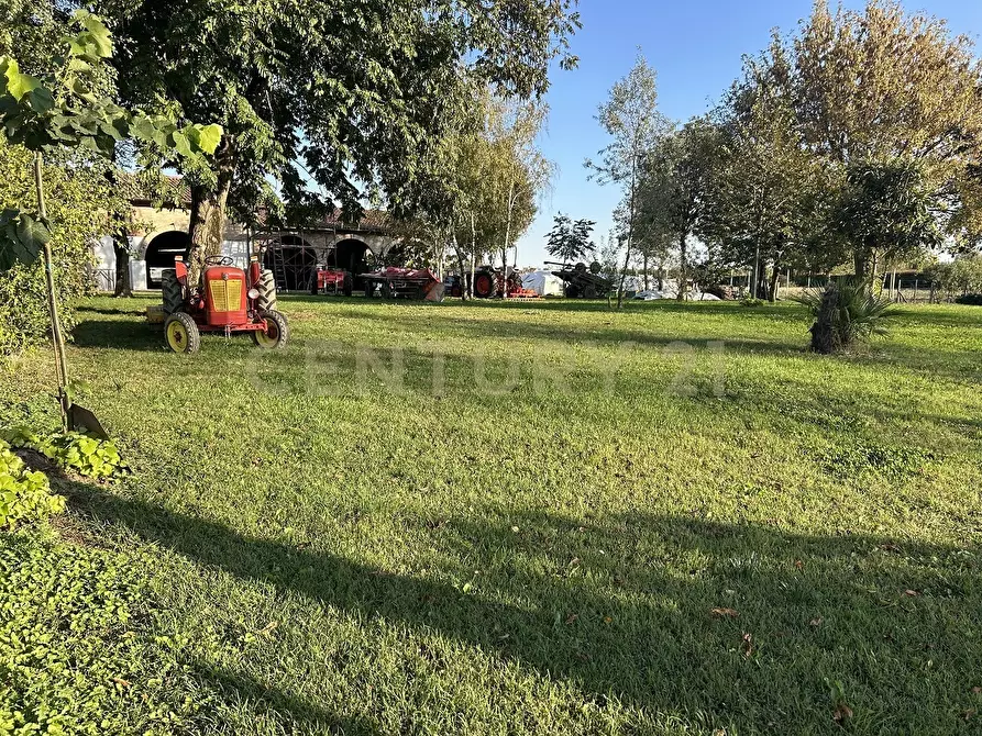 Immagine 61 di Rustico / casale in vendita  in Via Trento 70 a Minerbe