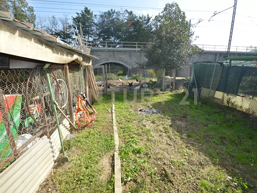 Immagine 10 di Terreno agricolo in vendita  in Via Alberto Sordi 12 a Grosseto