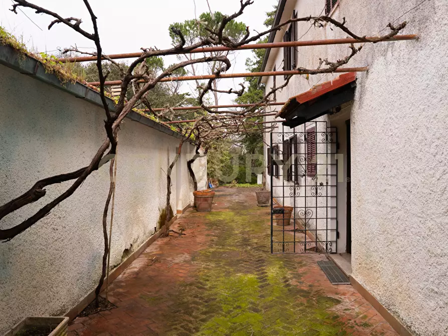 Immagine 11 di Rustico / casale in vendita  in sasso d'ombrone a Cinigiano