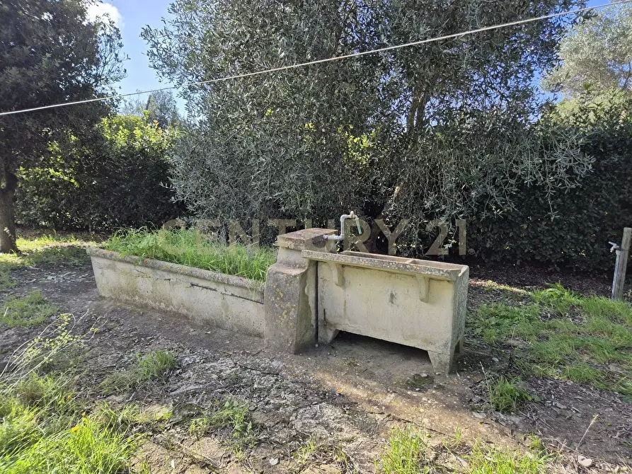 Immagine 13 di Rustico / casale in vendita  in Via Luciano Raveggi 6 a Orbetello