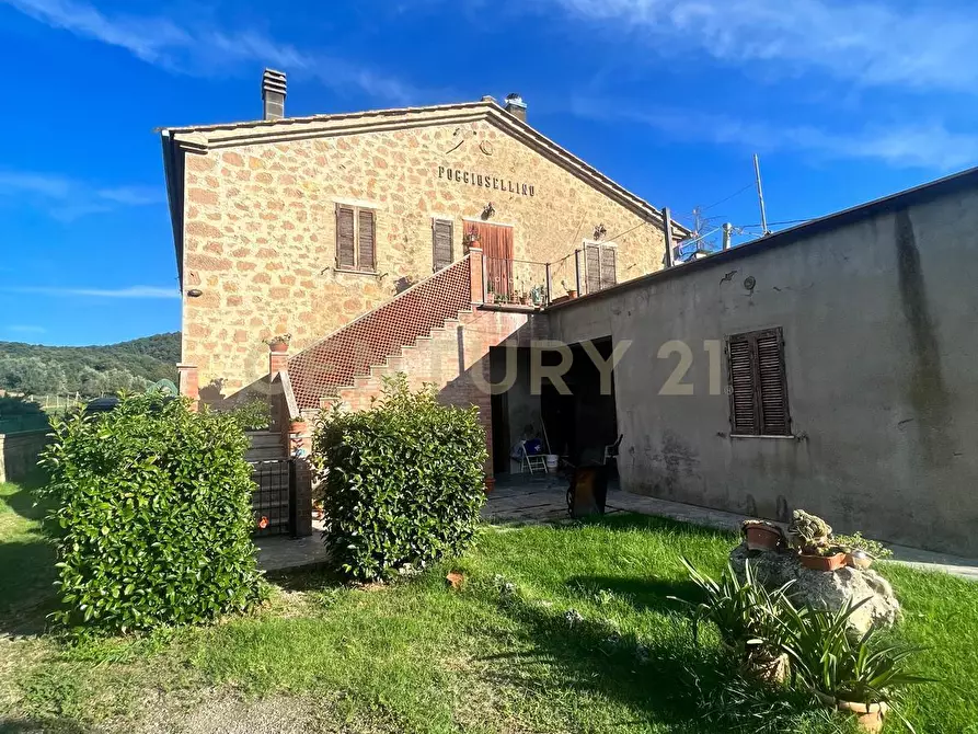 Immagine 3 di Casa indipendente in vendita  in località podere poggio sellino snc a Semproniano