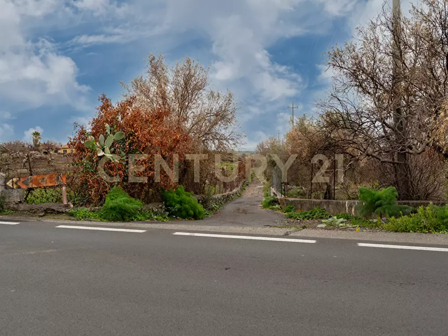 Immagine 3 di Terreno agricolo in vendita  in Via Santa Maria di Licodia a Belpasso