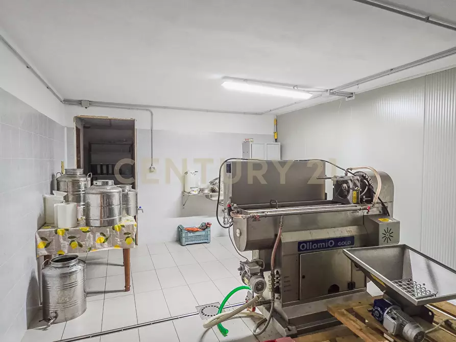 Immagine 14 di Villa in vendita  in località le coste a Roccastrada