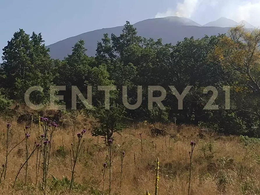 Immagine 1 di Terreno agricolo in vendita  in C.da Filiciusa a Biancavilla