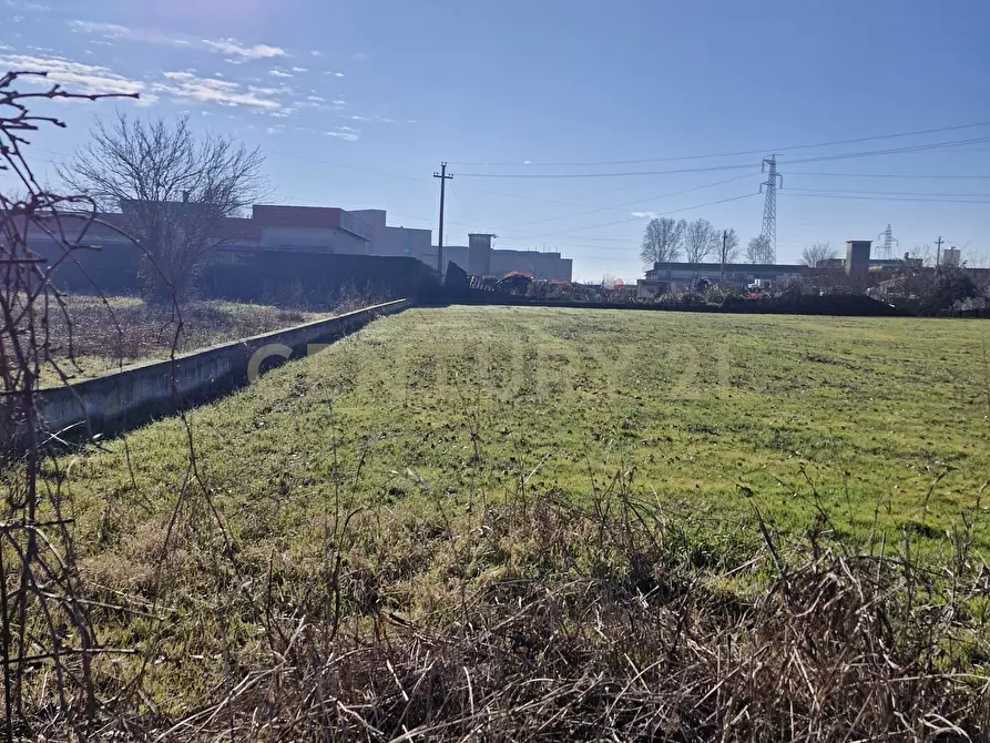 Immagine 4 di Terreno industriale in vendita  in Via Torino 5B a Cerea