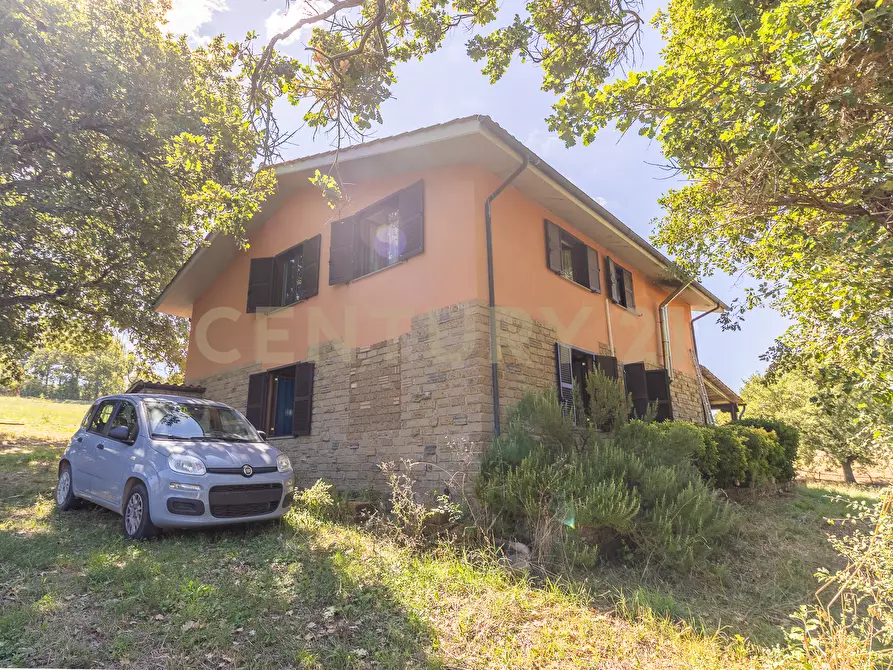 Immagine 9 di Rustico / casale in vendita  in località san quirichello a Barbarano Romano