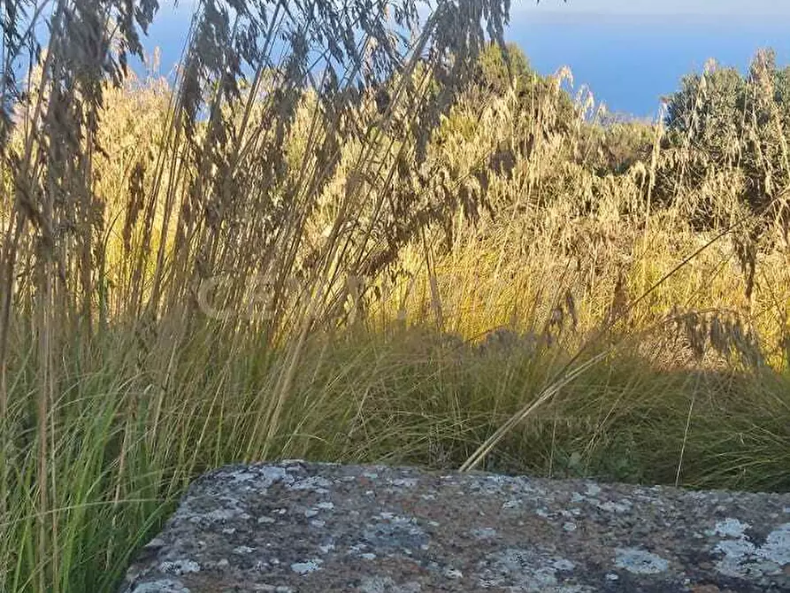 Immagine 14 di Casa indipendente in vendita  in Vicolo del Tufo 12 a Pantelleria