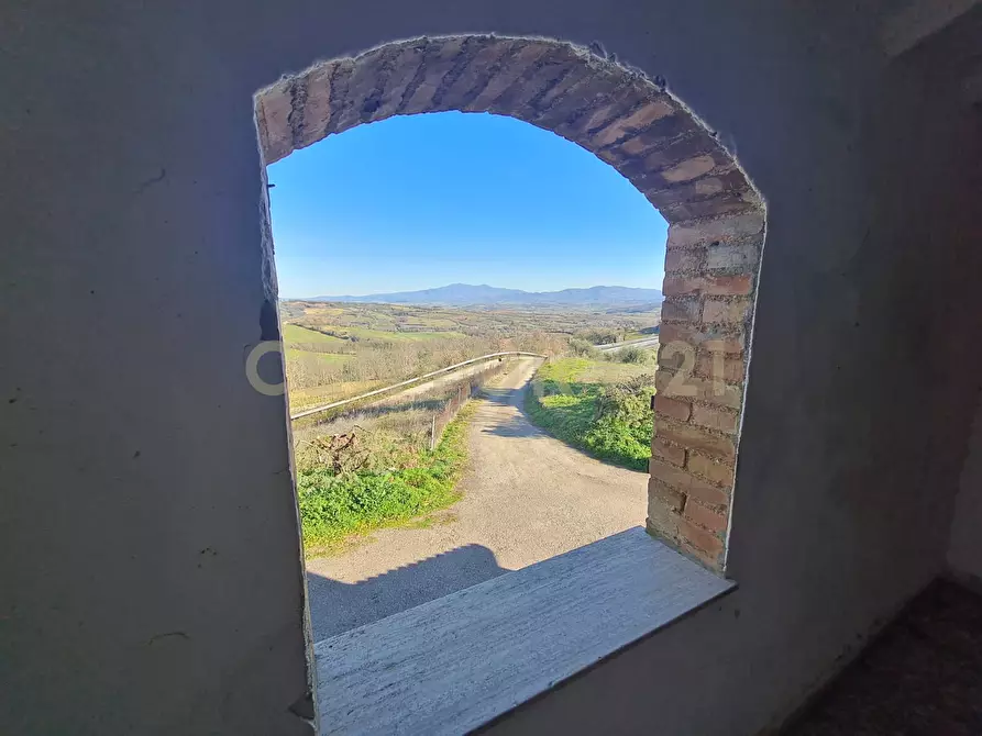 Immagine 15 di Porzione di casa in vendita  a Civitella Paganico
