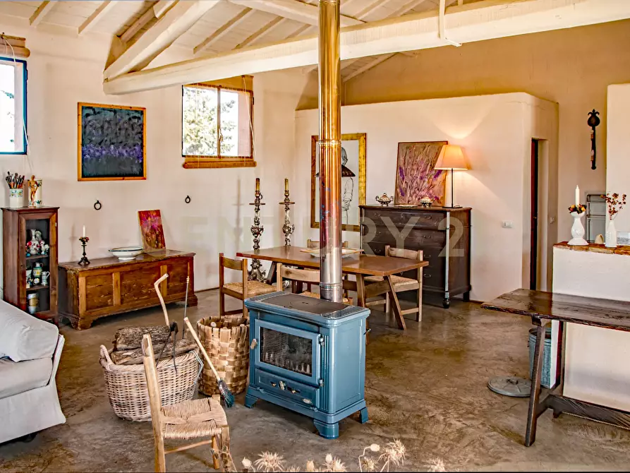 Immagine 28 di Rustico / casale in vendita  in località podere dogana a Roccastrada