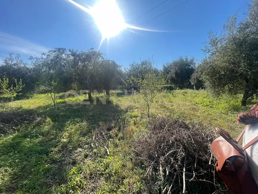 Immagine 26 di Terreno agricolo in vendita  in contrada agnelleria a Belpasso