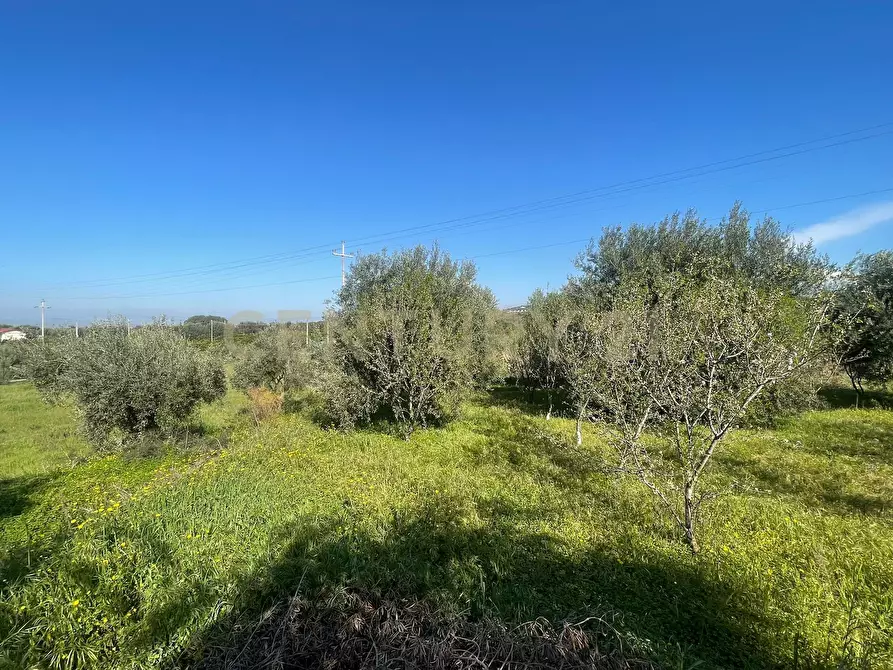 Immagine 17 di Terreno agricolo in vendita  in contrada agnelleria a Belpasso