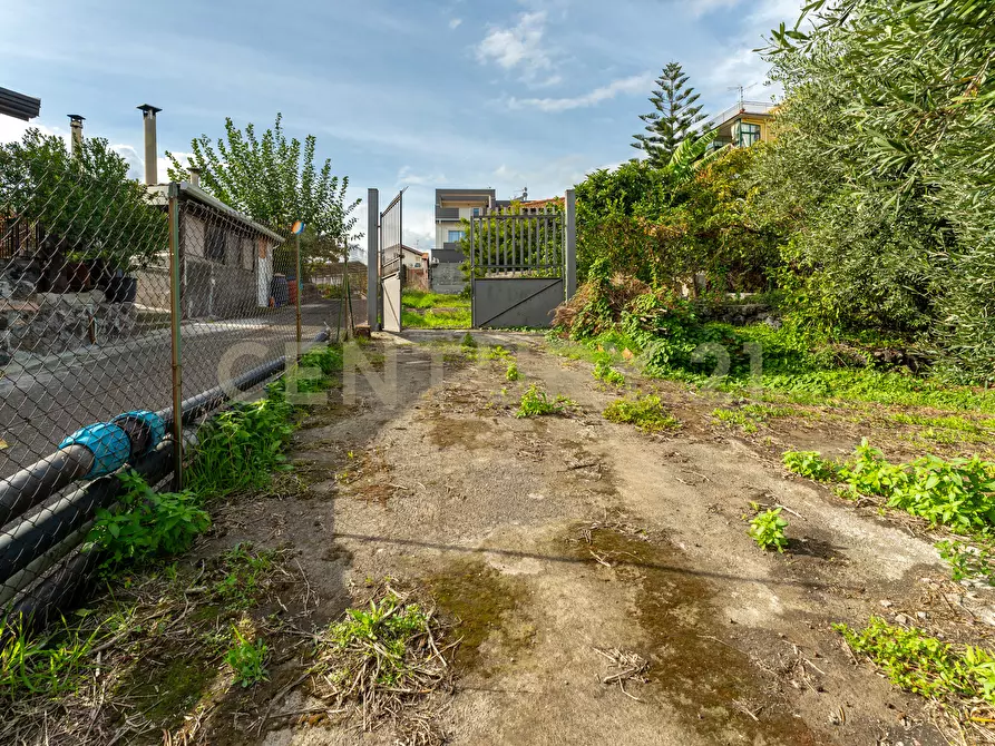 Immagine 11 di Terreno agricolo in vendita  in Via Cerza 35 a San Gregorio Di Catania