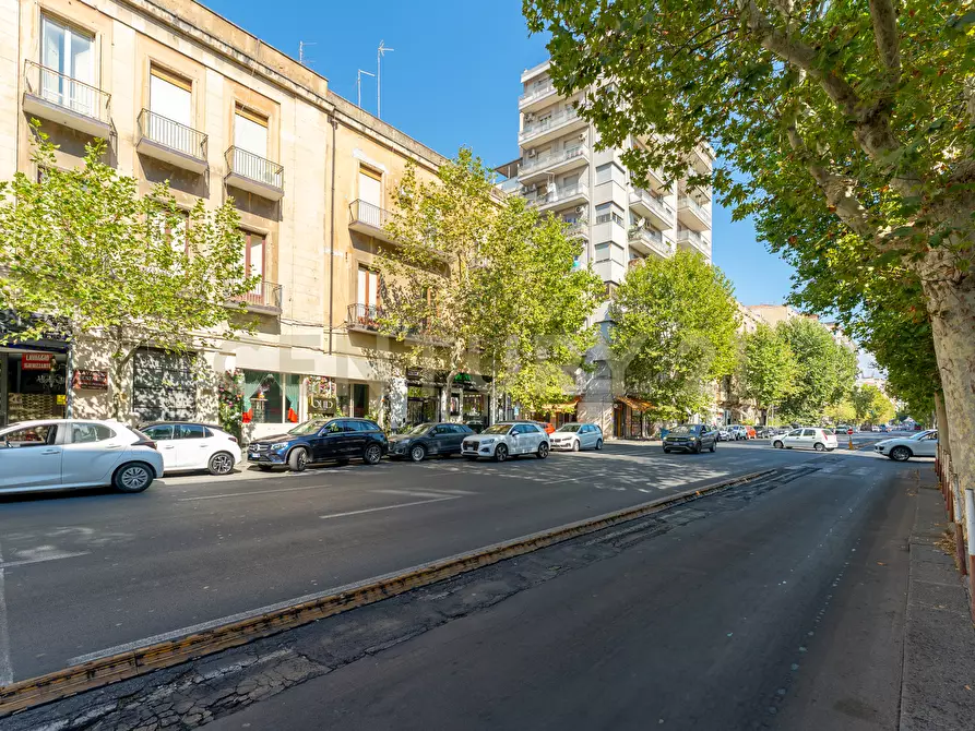 Immagine 4 di Pizzeria / Pub in vendita  in Viale Vittorio Veneto 7a a Catania