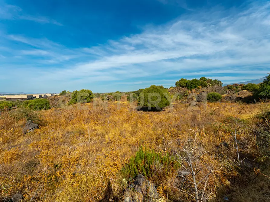 Immagine 4 di Terreno industriale in vendita  in Vicinanze DAIS a Belpasso