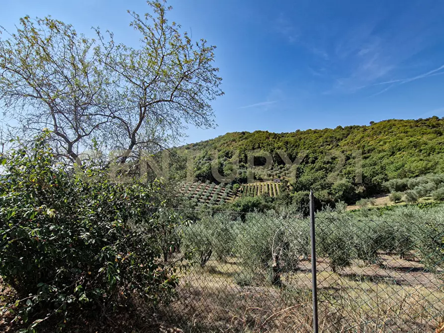 Immagine 6 di Rustico / casale in vendita  in Strada Provinciale Voltina 12 a Cinigiano
