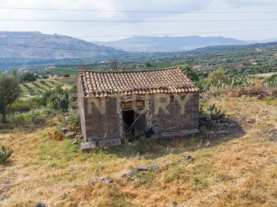 Immagine 3 di Terreno agricolo in vendita  in Via San Leo a Adrano