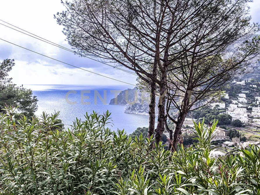 Immagine 4 di Villa in vendita  in Via Tuoro 11 a Capri