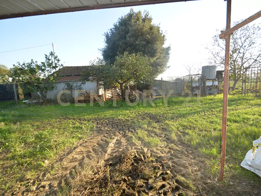 Immagine 31 di Terreno agricolo in vendita  in Strada del Querciolo 125 a Grosseto
