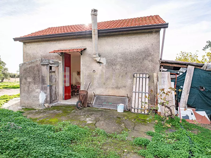 Immagine 14 di Terreno agricolo in vendita  in Contrada San Francesco snc a Paterno'