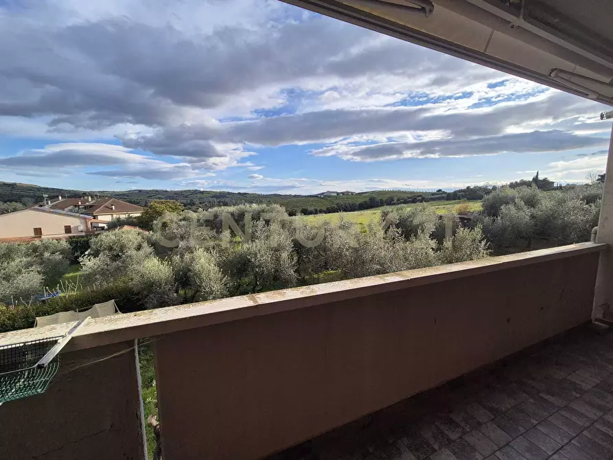 Immagine 39 di Terratetto in vendita  in via fratelli matteini 9 a Grosseto